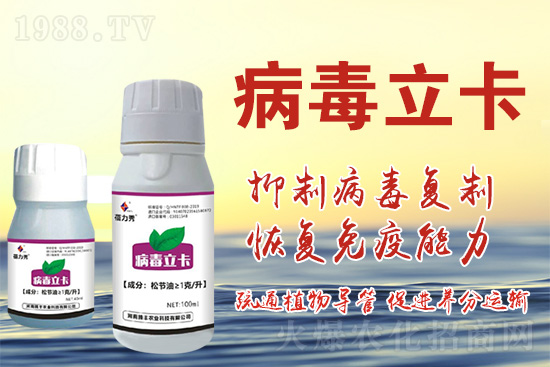 �ƽ�ֲ�ﲡ�������y�}�����ٻ֏�(f��)���C(j��)���@��(g��)ˎ���Ͼ͹�����