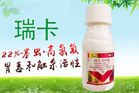 ɽ�|���r(n��ng)˼�_����Ƽ����޹�˾12