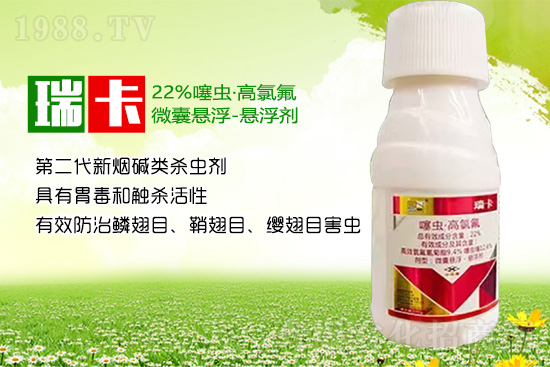 ɽ�|���r(n��ng)˼�_����Ƽ����޹�˾11