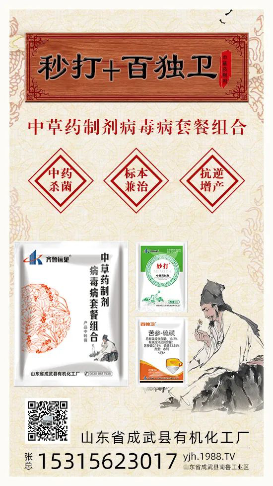 ��ֲ�ﰩ�Y-���������������������в�ˎ������������