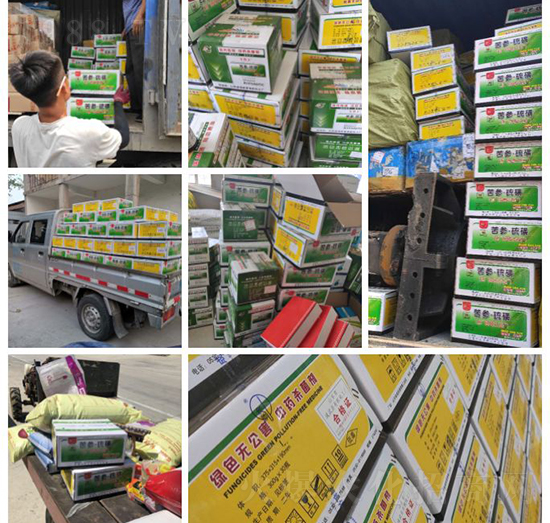 ��ֲ�ﰩ�Y-���������������������в�ˎ������������