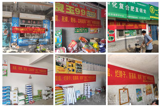 ��ֲ�ﰩ�Y-���������������������в�ˎ������������