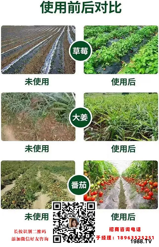 沃爾優(yōu)生物科技(黑龍江)有限公司14