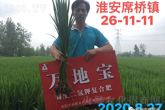 ˮ�����Y���Ì��a(ch��n)���ж��Ӱ������Mˮ�����Y��ô����