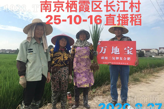 ˮ�����Y���Ì��a(ch��n)���ж��Ӱ������Mˮ�����Y��ô����