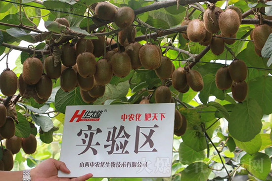 �J����������c����Щ���J����������ôʩ