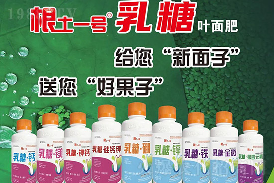 �J����������c����Щ���J����������ôʩ