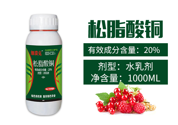 �_��W��������Ƽ����޹�˾-863315_02