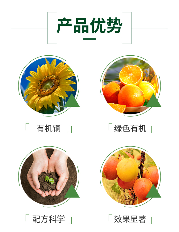 �_��W��������Ƽ����޹�˾-863315_03