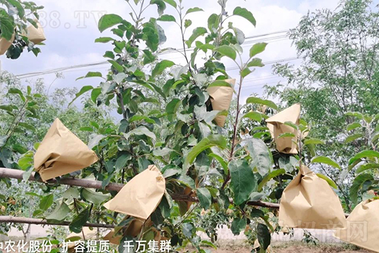     ����(sh��)�״���ɜp���r(n��ng)ˎ���������ƹ��ӵ����^Ʒ�|(zh��)���ɴ����߹�Ʒ�u�࣬�����׳��۲��u���߃r(ji��)�����Թ����״�Ŀǰ��Ȼ���҇�(gu��)���@����Ҫ�����������״��O��������Ǻ���Ҳ�ٲ�����