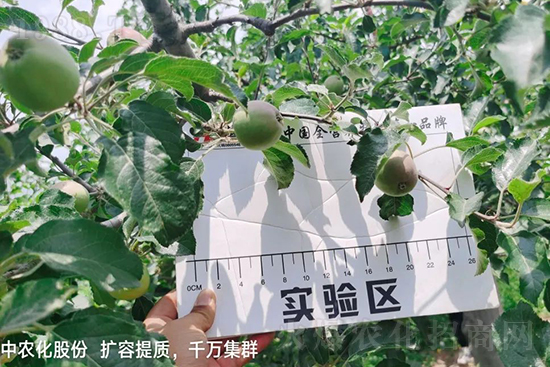     ����(sh��)�״���ɜp���r(n��ng)ˎ���������ƹ��ӵ����^Ʒ�|(zh��)���ɴ����߹�Ʒ�u���������׳��۲��u���߃r(ji��)�����Թ����״�Ŀǰ��Ȼ���҇�(gu��)���@����Ҫ�����������״��O��������Ǻ���Ҳ�ٲ�����