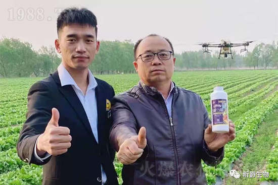 ����׷�ʏ�(f��)�Ϸʺ�߀�����غ����ܶ��˶��e(cu��)�ˣ����������_�x��