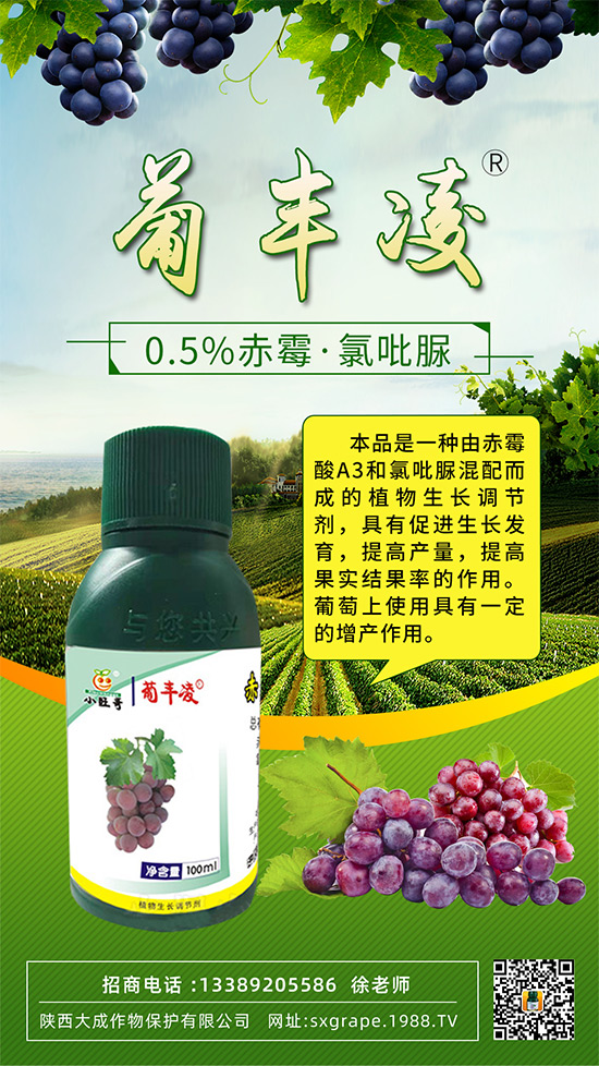 ���ѹ���ϡ������С����(y��n)����ô�k���@Щ�����ஔ(d��ng)��Ҫ