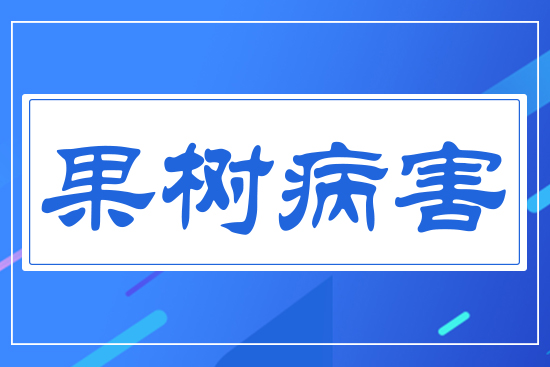 ����(sh��)����