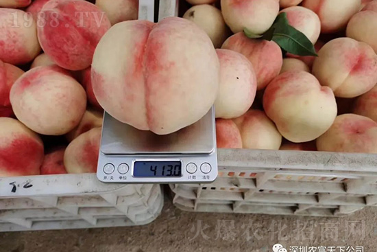 �Ҙ������ô�k���Ҙ����ԭ���A(y��)������