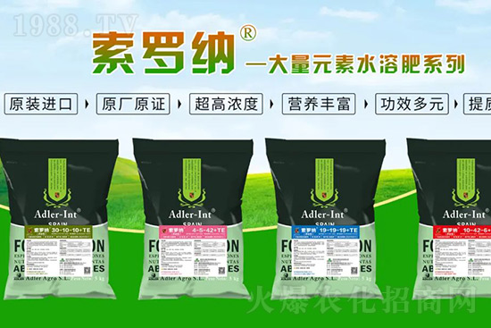 �ͺϷʝq�r���� �����@�׿�߶��M�����ͷʅs�����Ј����G�G��