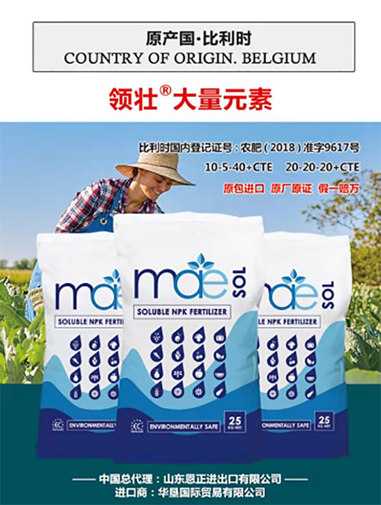 ��500�2000���߶��M(j��n)�ڷʡ���?x��n)r(ji��)�Ȱ�����