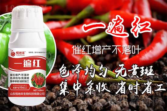 ������ʲôҪ���t���������t��ɫ�Ă����Ӻã�