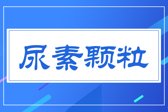 �����w��