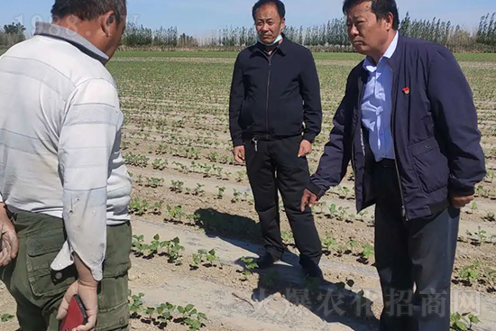 中農(nóng)化新疆北疆辦事處負(fù)責(zé)人:同路同行共發(fā)展