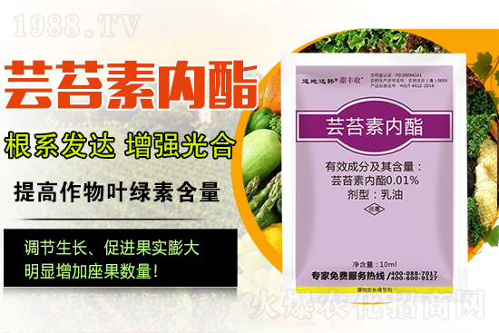 �|̦�؃�(n��i)����ɶ���Q��ֲ�����ˎ���|̦�؃�(n��i)����ô�x��