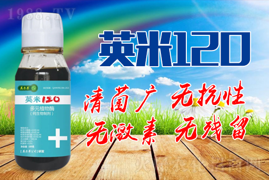 ��轰׷۲��İY����ʲô����轰׷۲����η�����