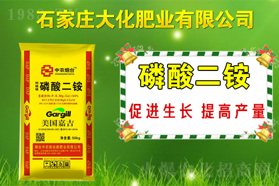 ��(zh��n)�Ժ�����������ʯ���f�󻯷ʘI(y��)�ٴκ��s1988.TV��