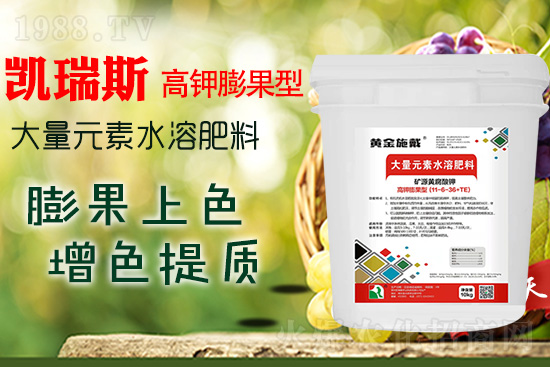     ���M(j��n)���������ɫ���@��(g��)�䷽��(zh��n)�](m��i)�e(cu��)���������|(zh��)���a(ch��n)��