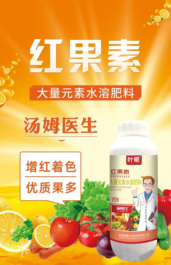 �t���ء�ֻ���D(zhu��n)ɫ�������D(zhu��n)ɫ�졢�����߼t���ó