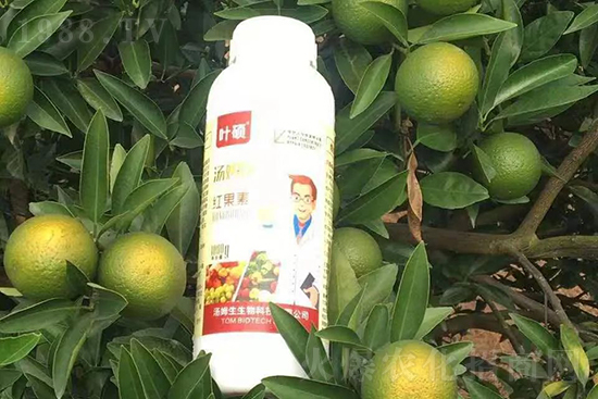 �t���ء�ֻ���D(zhu��n)ɫ�������D(zhu��n)ɫ�졢�����߼t���ó���