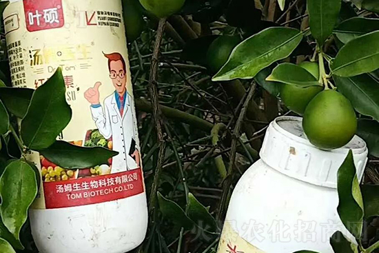 �t���ء�ֻ���D(zhu��n)ɫ�������D(zhu��n)ɫ�����ߣ��߼t���ó���