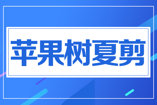 �O(p��ng)����(sh��)�ļ�