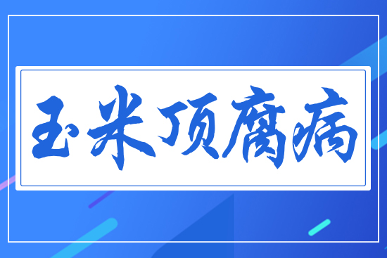 ����픸���