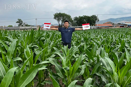 ��Դ��������ɣ��I�B(y��ng)�a(b��)��ȫ����