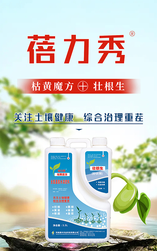 騰豐農(nóng)業(yè)