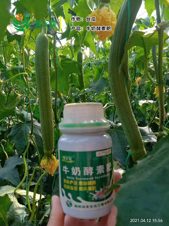 牛奶酵素肥-聚無(wú)霸5