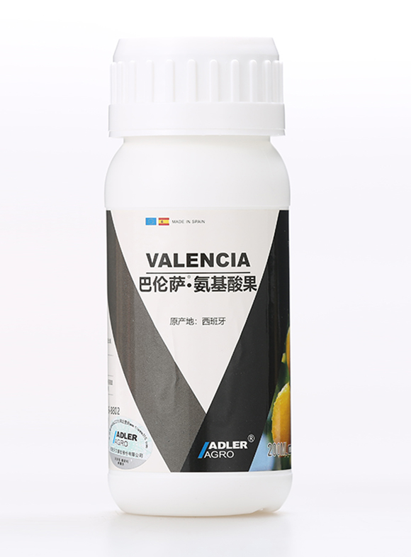 �͂��_���������4