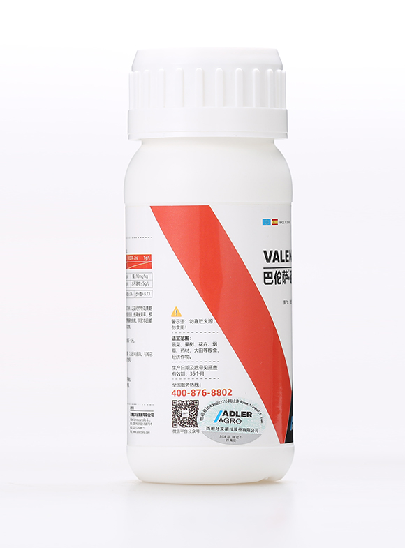 �͂��_�����f�\6