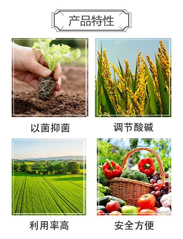 ����6̖(h��o)-��ķ��_03