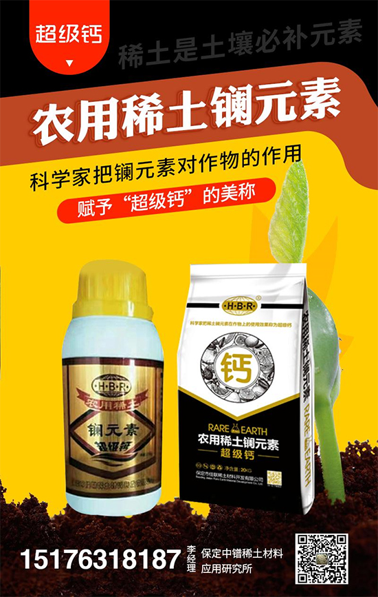 �������ϡ�����ϑ�(y��ng)���о���11