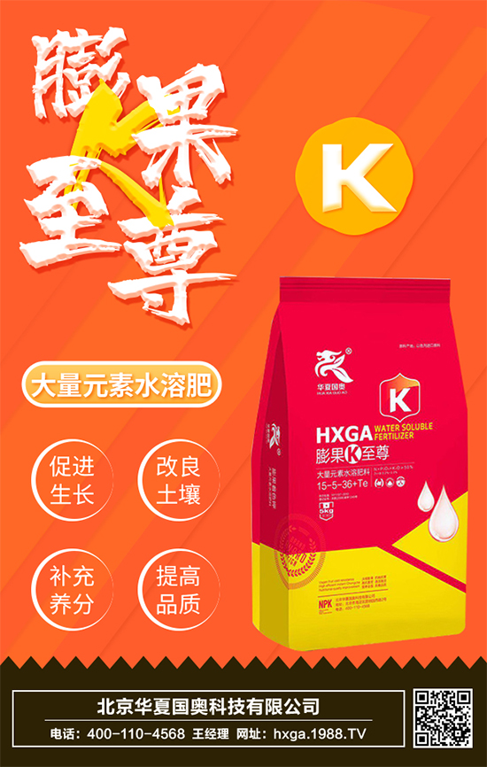 �����A�ć�(gu��)�W�Ƽ����޹�˾1