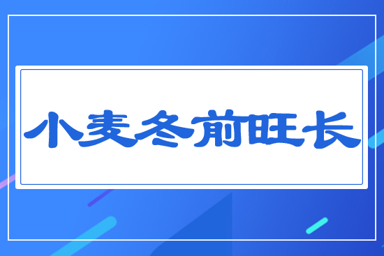 С����ǰ���L(zh��ng)