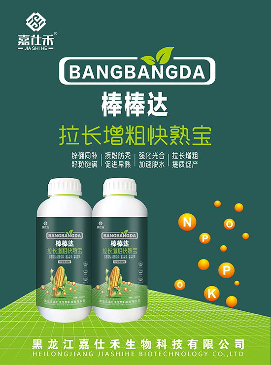 QQ�DƬ20231127085100