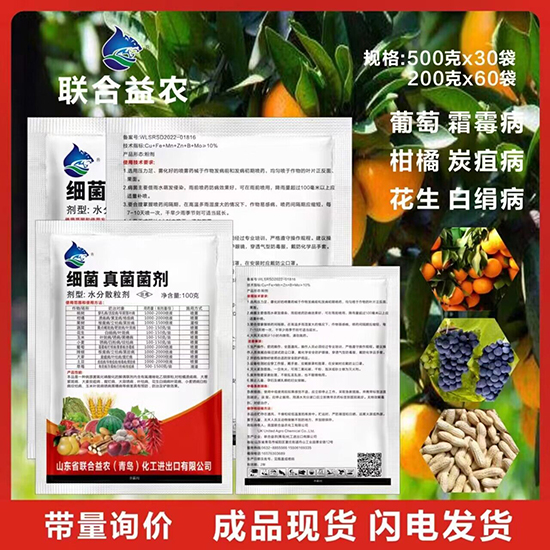 QQ�DƬ20231109140211