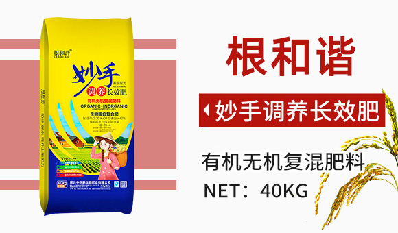 �����C-����������_03