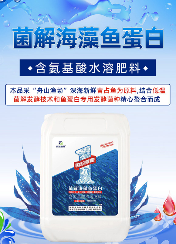 ���⺣���~����-��(gu��)��Ҽ��_01