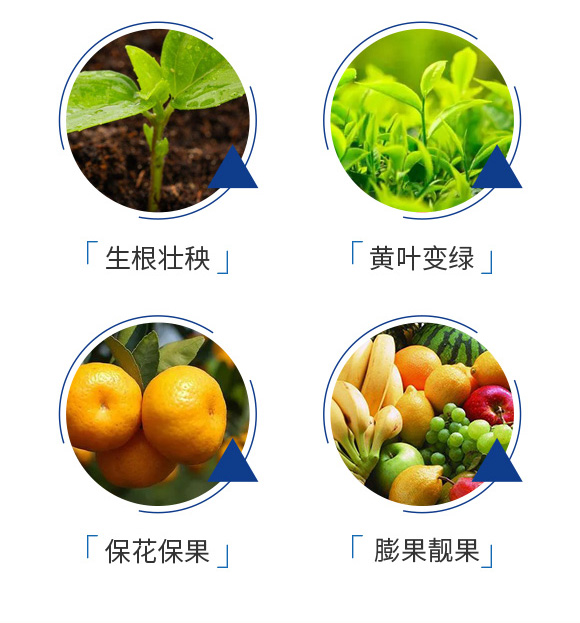 ���⺣���~����-��(gu��)��Ҽ��_05