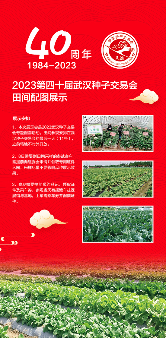 �N�ӕ�(hu��)3