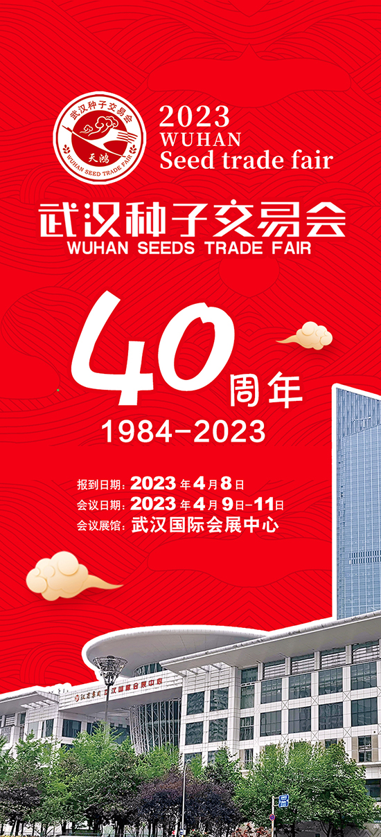 �N�ӕ�(hu��)1