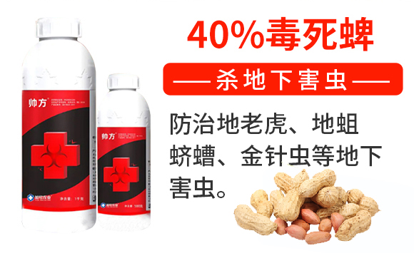 ����-��̖�r(n��ng)�I(y��)_02